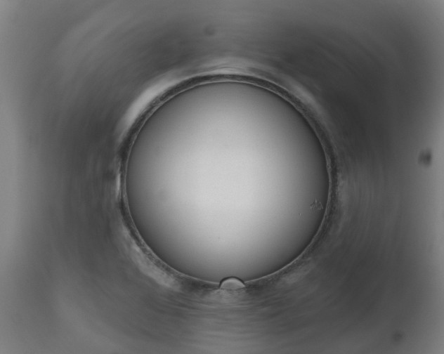 X0000112501368200908241339