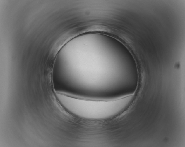 X0000112501369200908241339