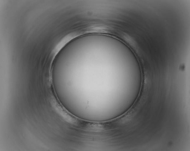 X0000112501370200908241339