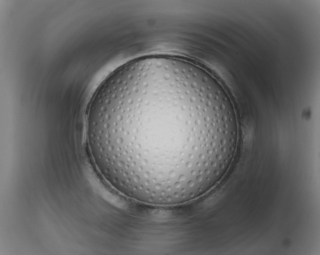 X0000112501371200908241339