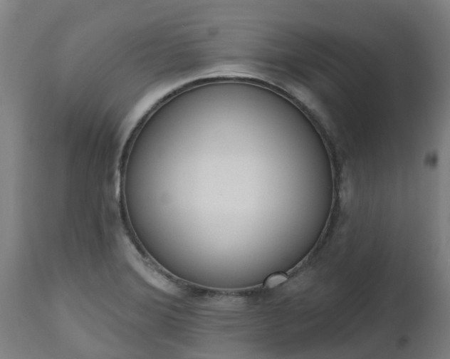 X0000112501372200908241339