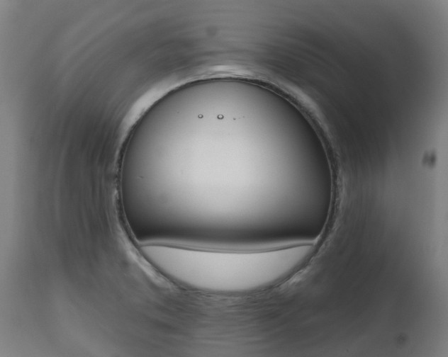 X0000112501373200908241339