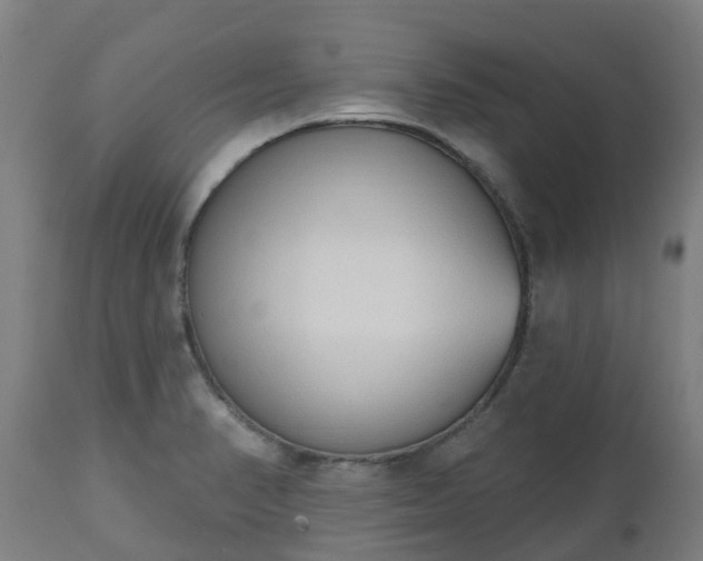 X0000112501374200908241339