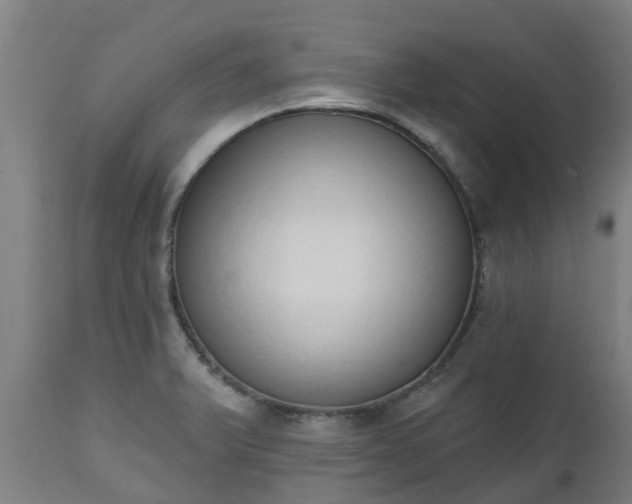 X0000112501375200908241339