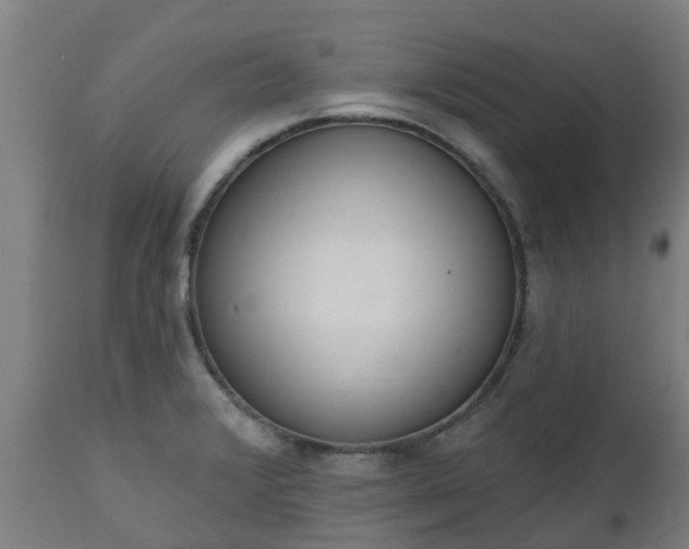 X0000112501376200908241339