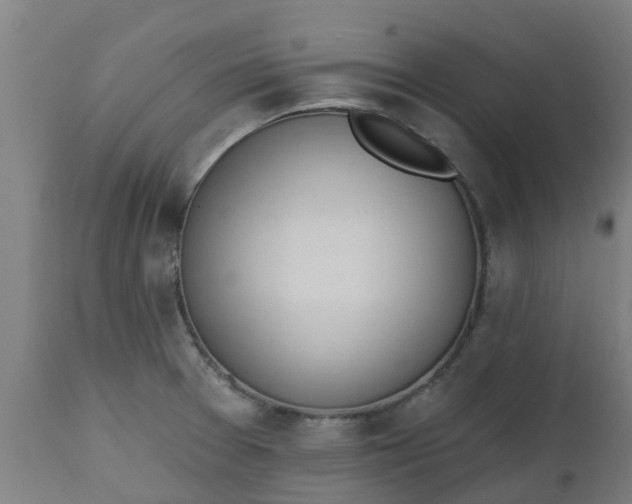 X0000112501377200908241339