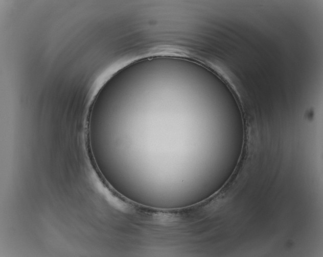 X0000112501379200908241339