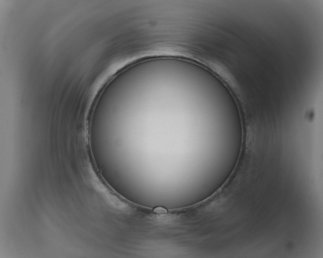 X0000112501380200908241339