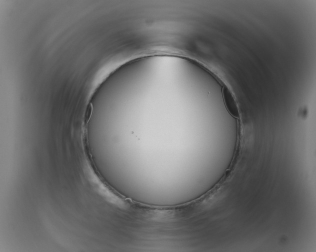 X0000112501381200908241339