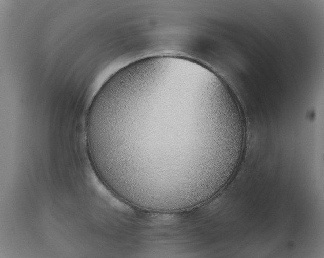 X0000112501382200908241339