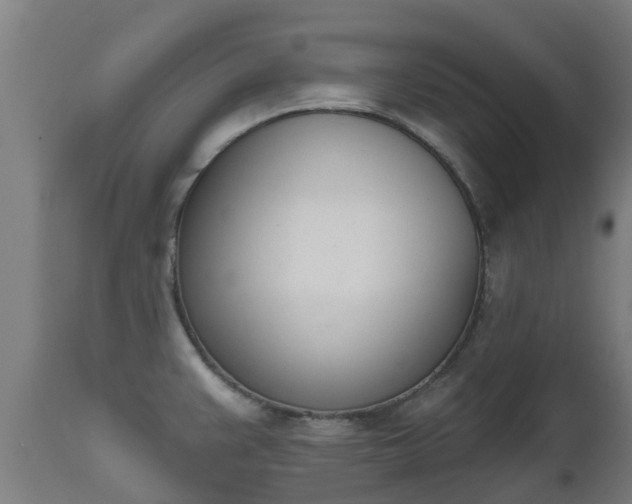 X0000112501383200908241339