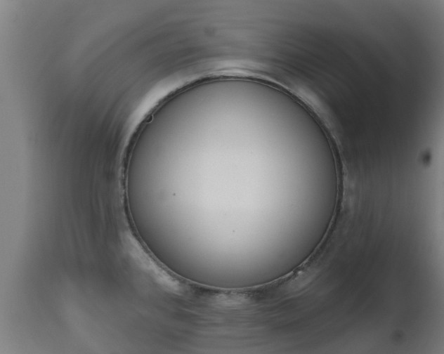 X0000112501384200908241339