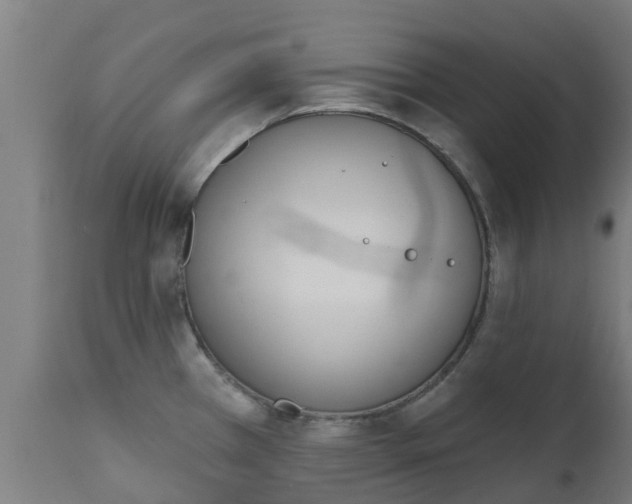 X0000112501385200908241339