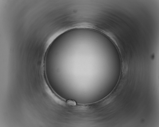 X0000112501387200908241339