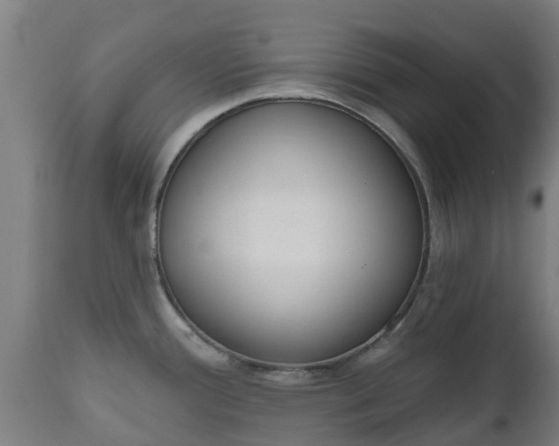 X0000112501388200908241339