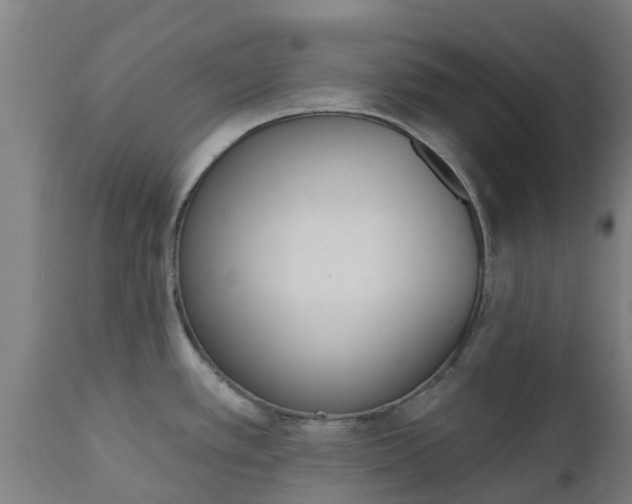 X0000112501389200908241339