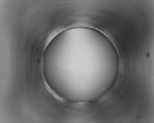 X0000112501390200908241339