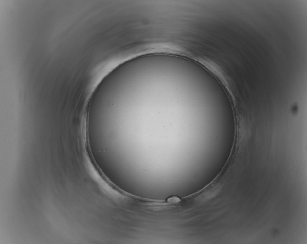 X0000112501391200908241339