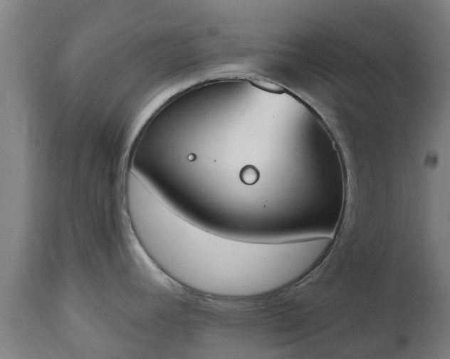 X0000112501392200908241339