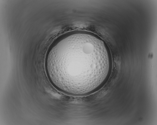 X0000112501393200908241338