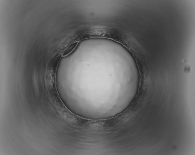 X0000112501394200908241338