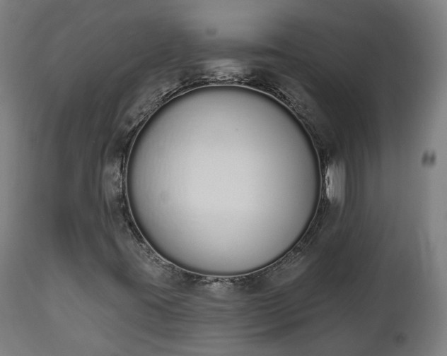 X0000112501395200908241338