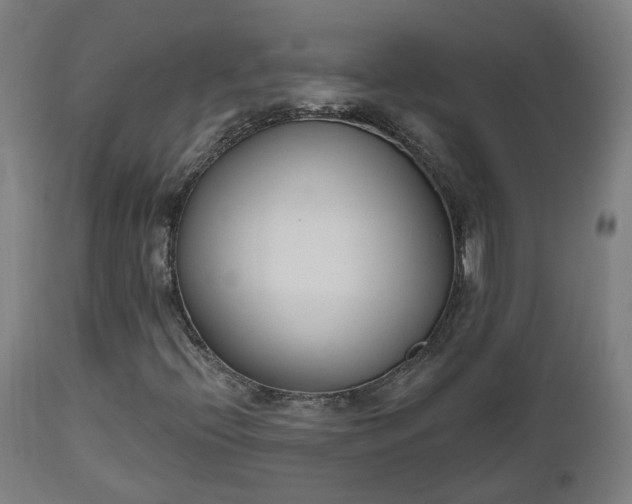 X0000112501396200908241338