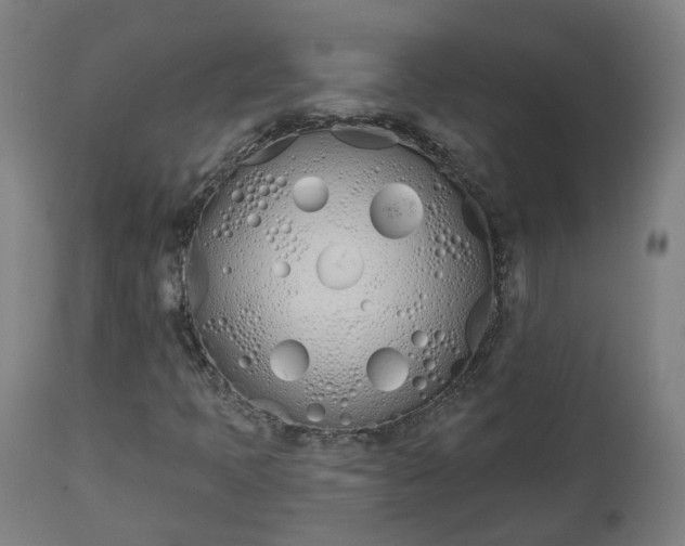 X0000112501397200908241338