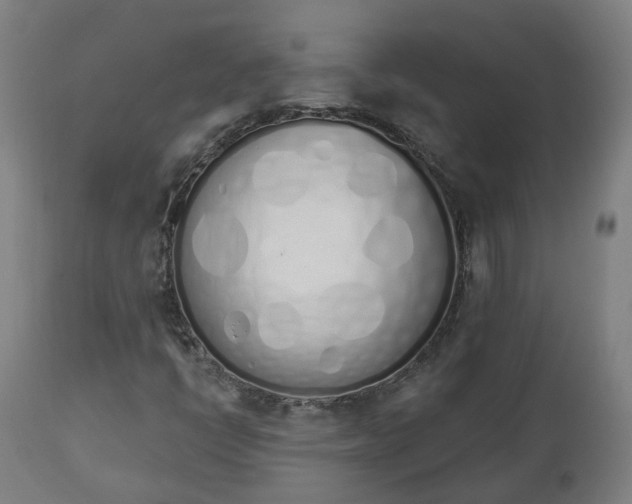 X0000112501398200908241338