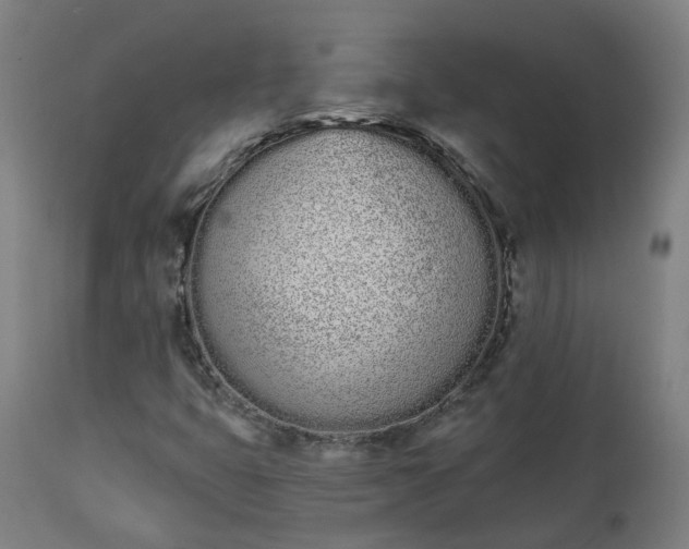 X0000112501399200908241338