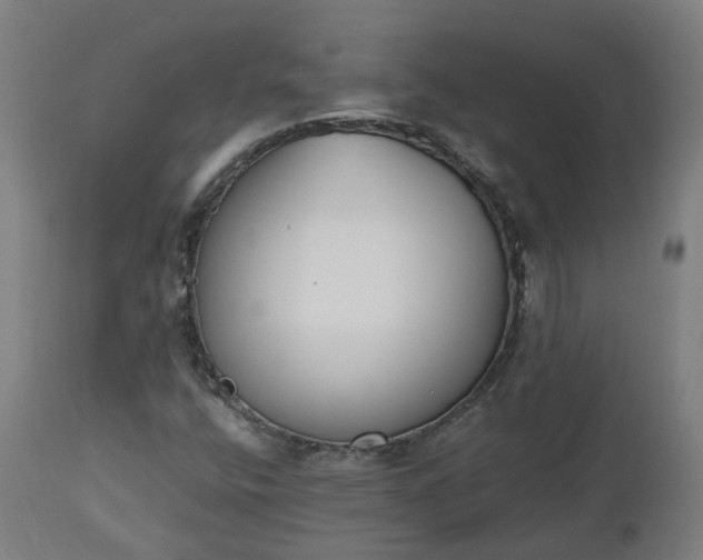 X0000112501400200908241338