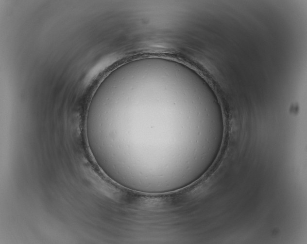 X0000112501402200908241338