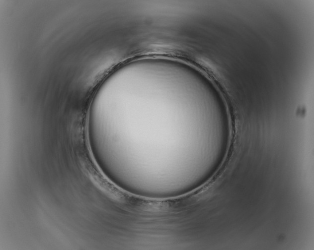 X0000112501403200908241338