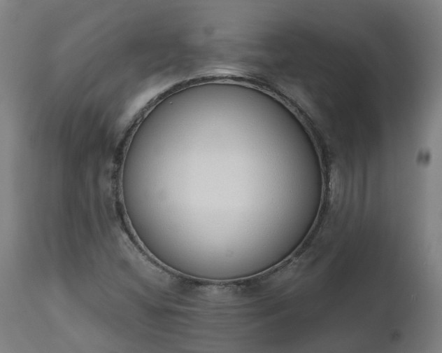 X0000112501404200908241338