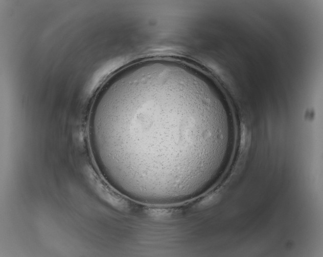 X0000112501405200908241338