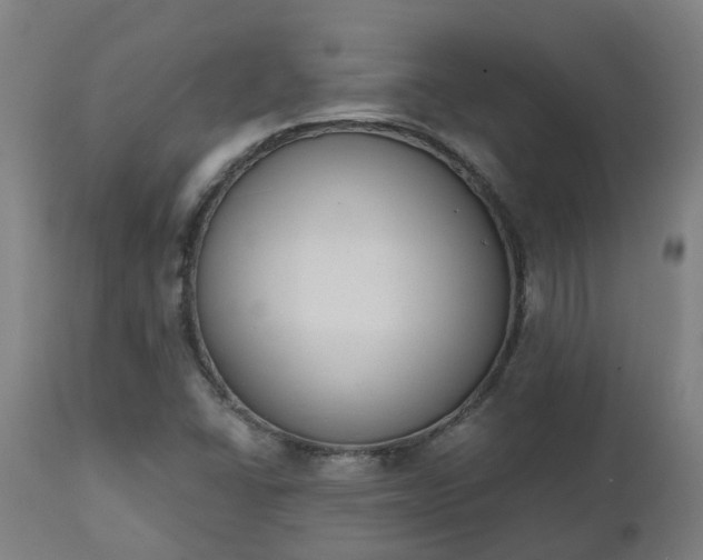 X0000112501406200908241338