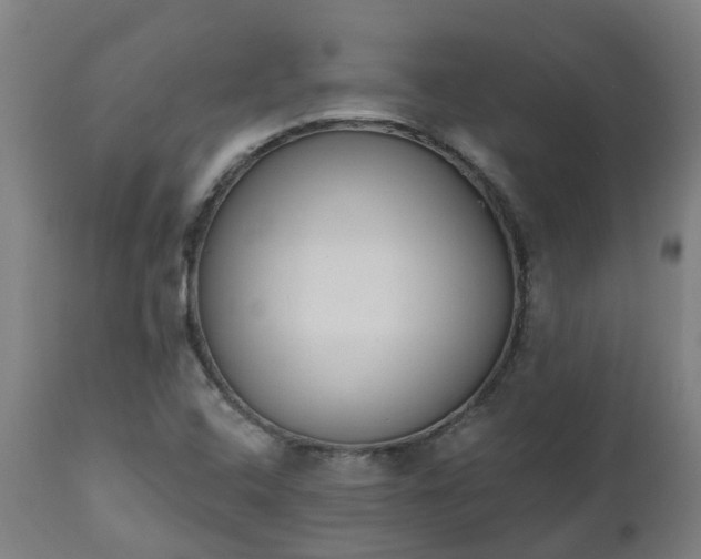 X0000112501408200908241338