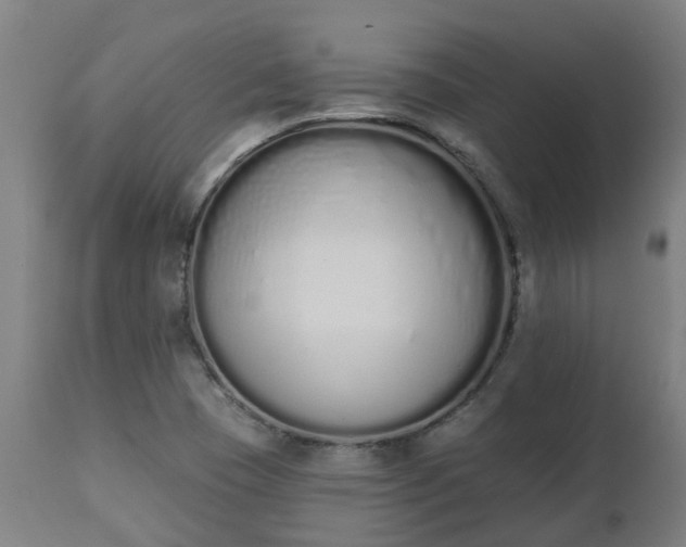 X0000112501409200908241338