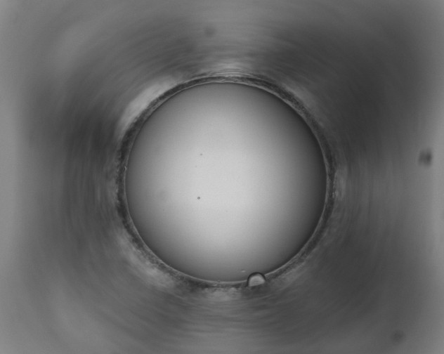 X0000112501410200908241338