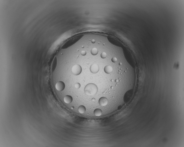 X0000112501411200908241338