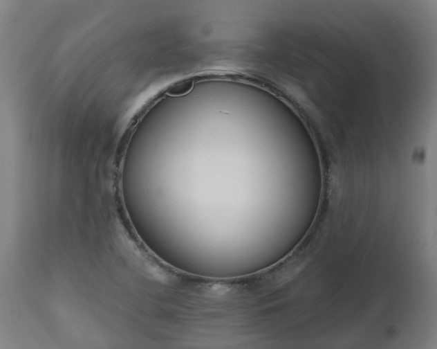 X0000112501412200908241338