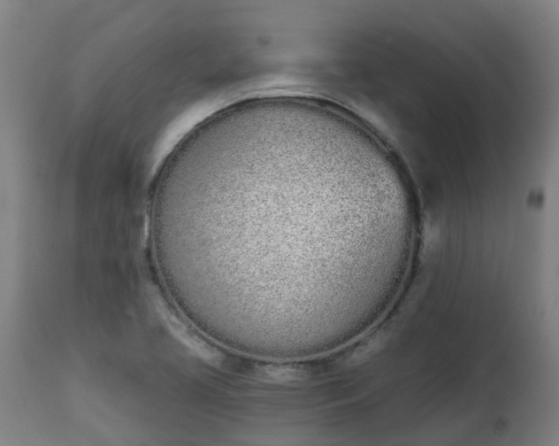 X0000112501413200908241338