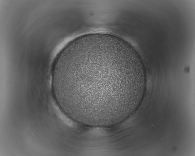 X0000112501414200908241338