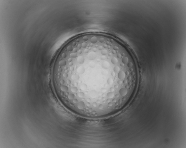 X0000112501415200908241338