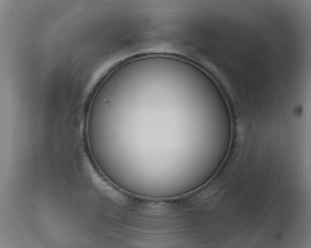 X0000112501416200908241338