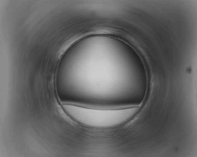 X0000112501417200908241338