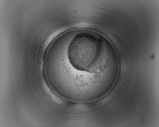 X0000112501418200908241338