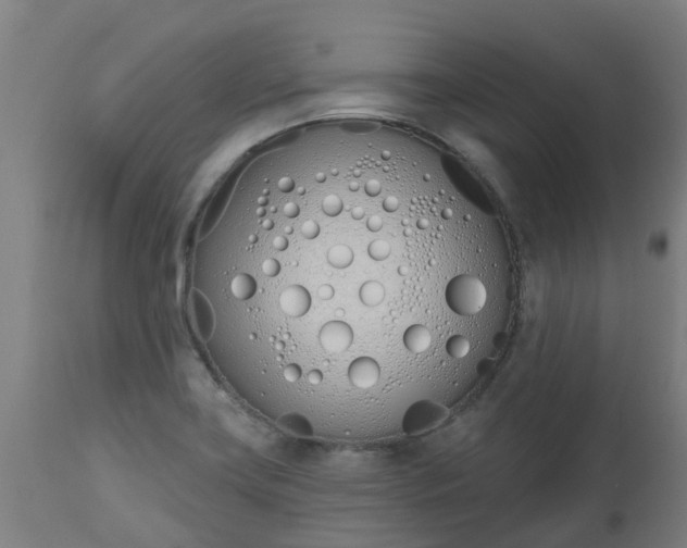 X0000112501419200908241339