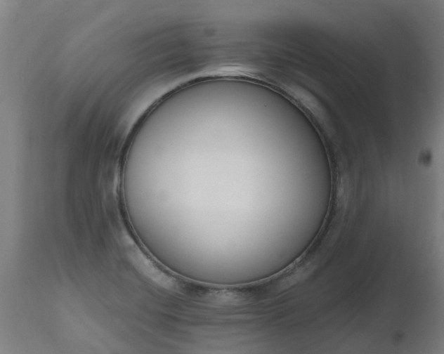 X0000112501420200908241339