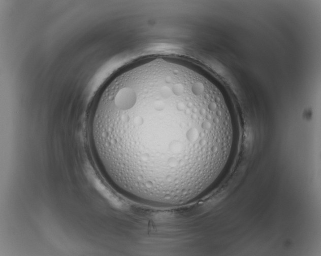 X0000112501421200908241339